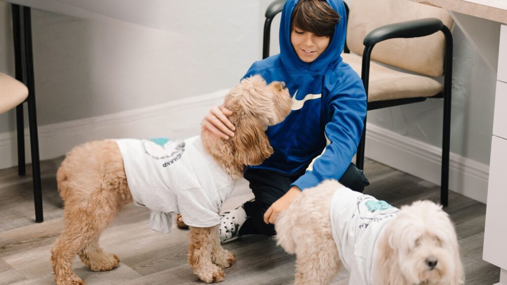 Are Braces Before Christmas a Bad Idea?